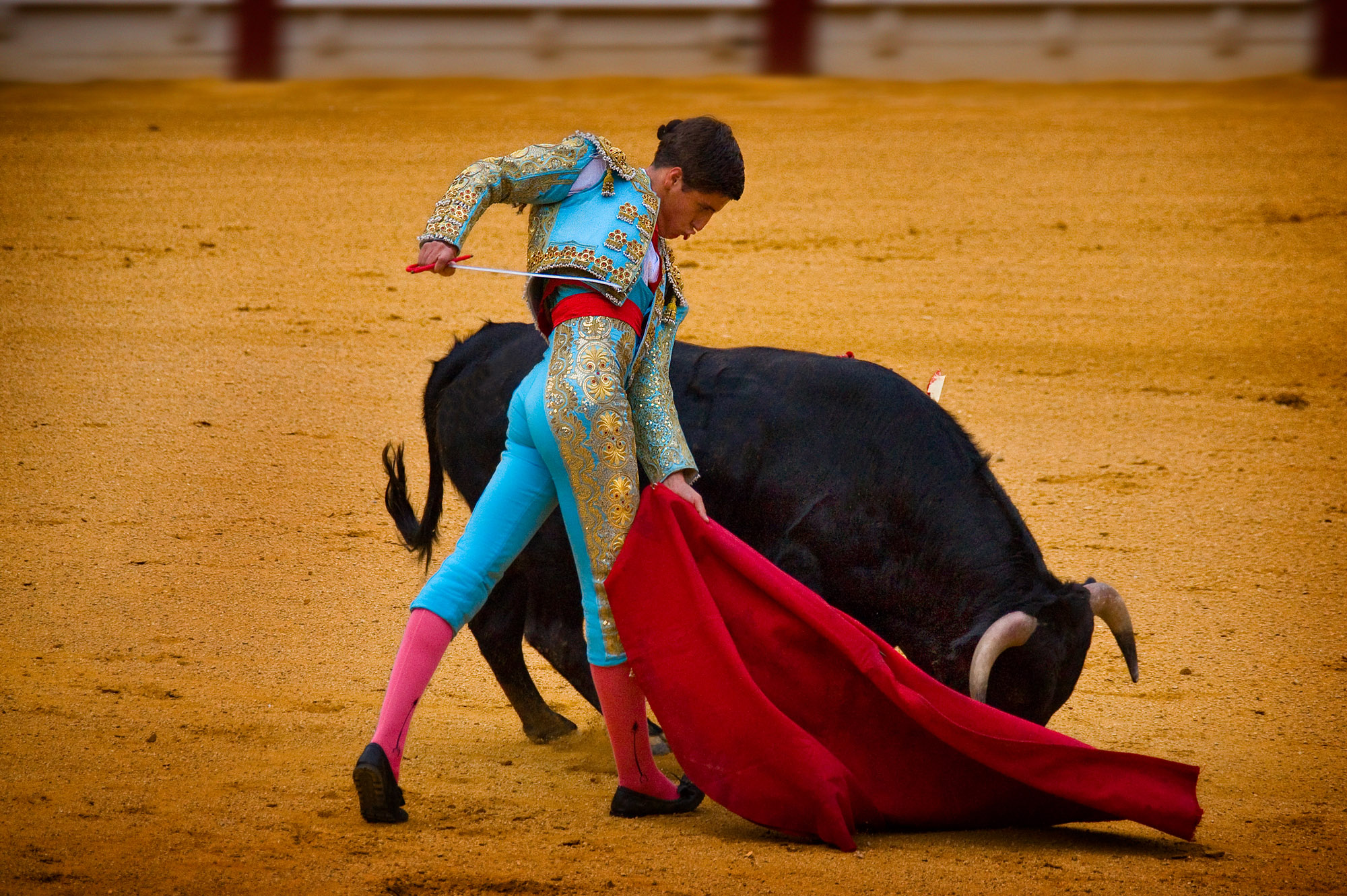 Bullfighting In A Hostile Age The Generation