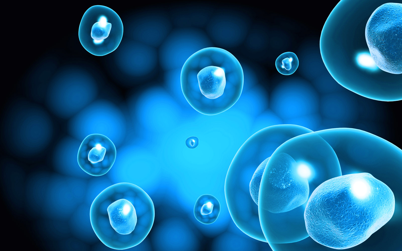 Discover the promise of stem cell therapy now